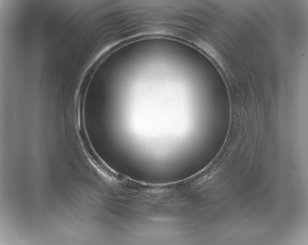 X0000071951127200607212219