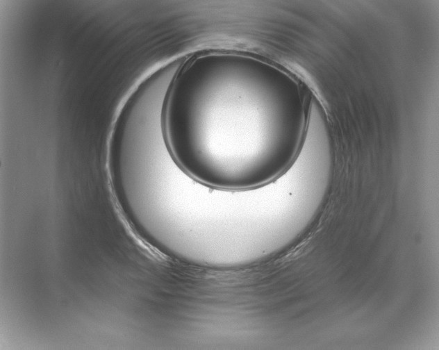 X0000071951128200607212219