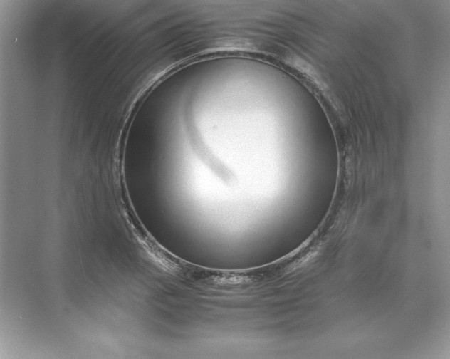 X0000071951129200607212219