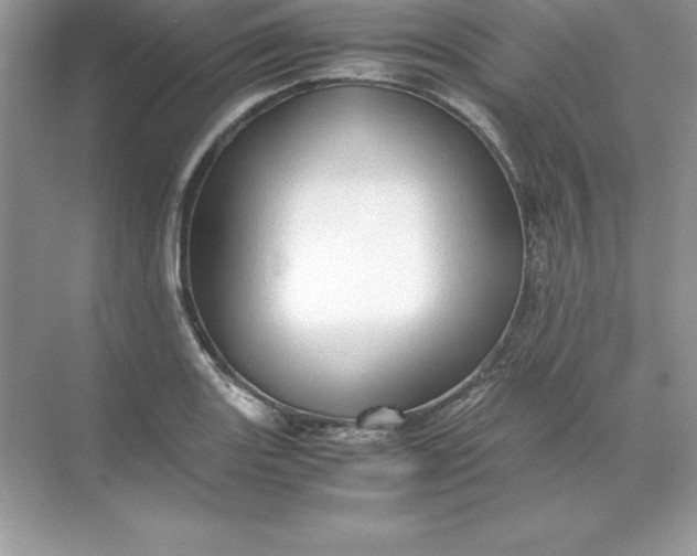 X0000071951131200607212219