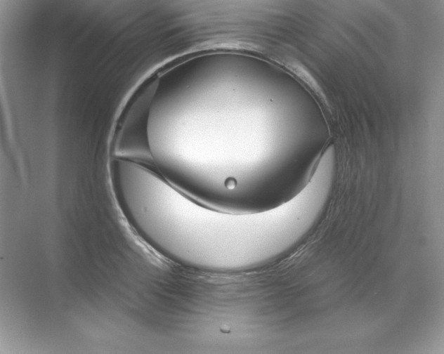 X0000071951132200607212219