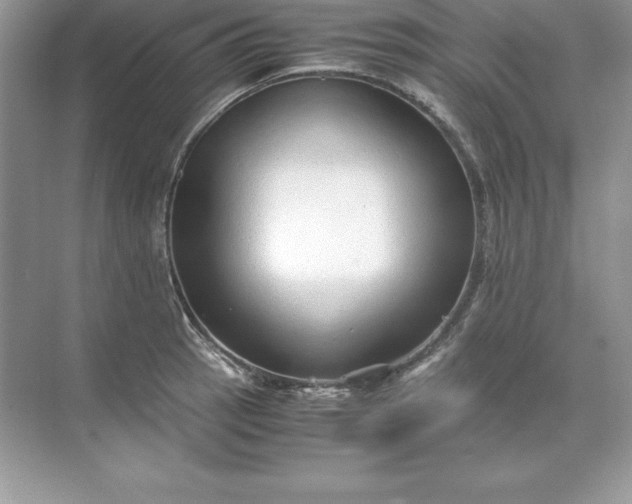 X0000071951137200607212219