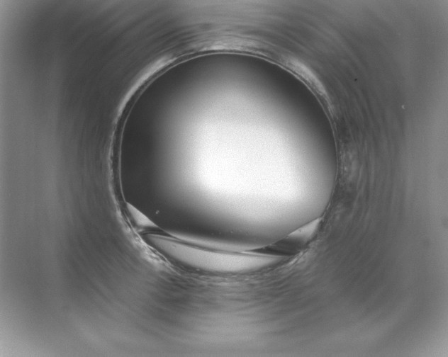 X0000071951138200607212220