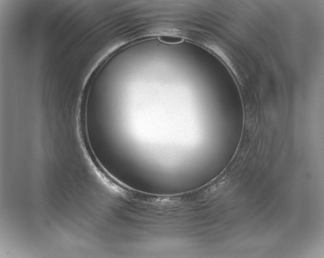 X0000071951139200607212220