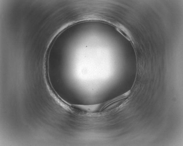 X0000071951142200607212220