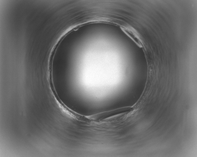 X0000071951143200607212220