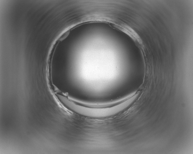 X0000071951144200607212220