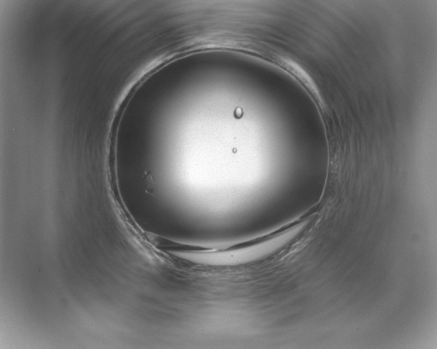 X0000071951146200607212220