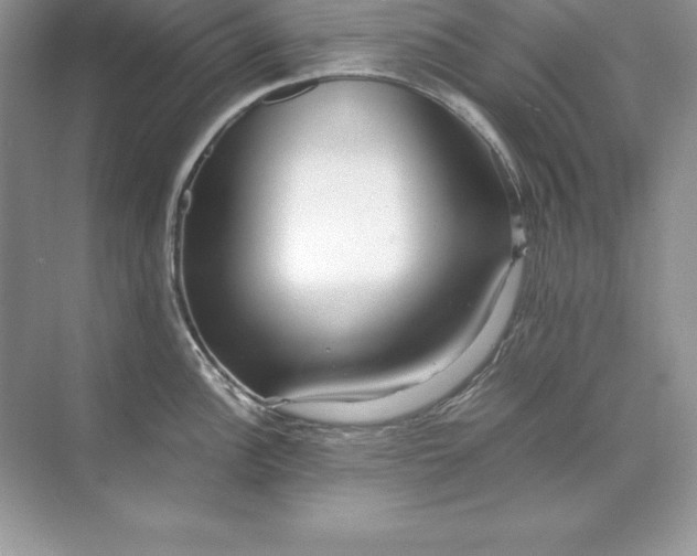 X0000071951148200607212220