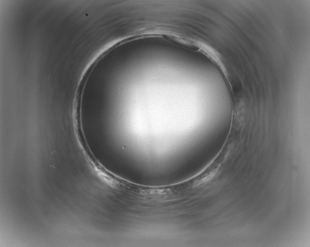 X0000071951149200607212220