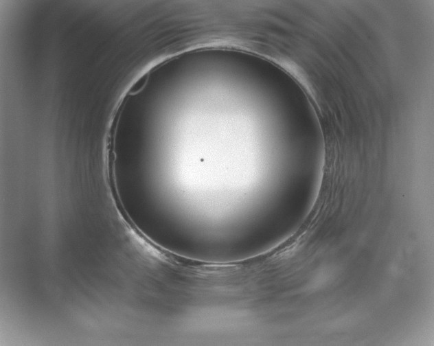 X0000071951151200607212220