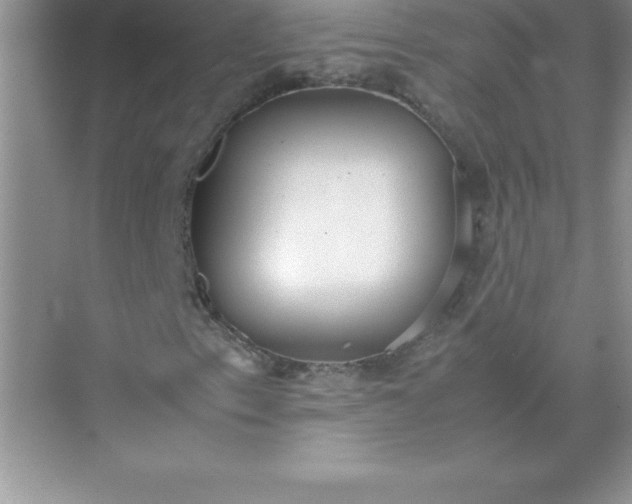 X0000071951153200607212219