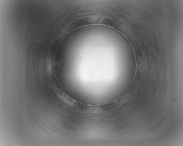 X0000071951154200607212219