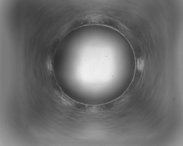 X0000071951155200607212219