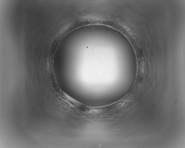 X0000071951157200607212219