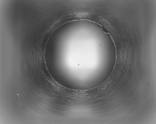 X0000071951158200607212219