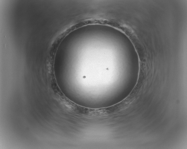 X0000071951159200607212219