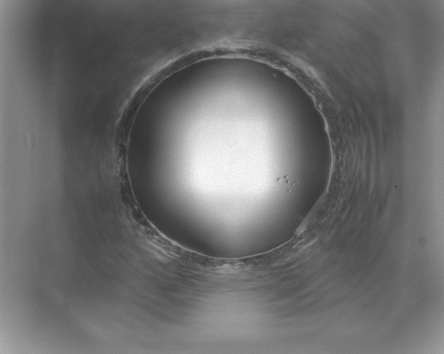 X0000071951160200607212219