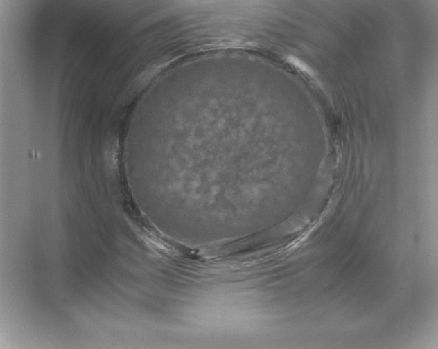 X0000071951161200607212219