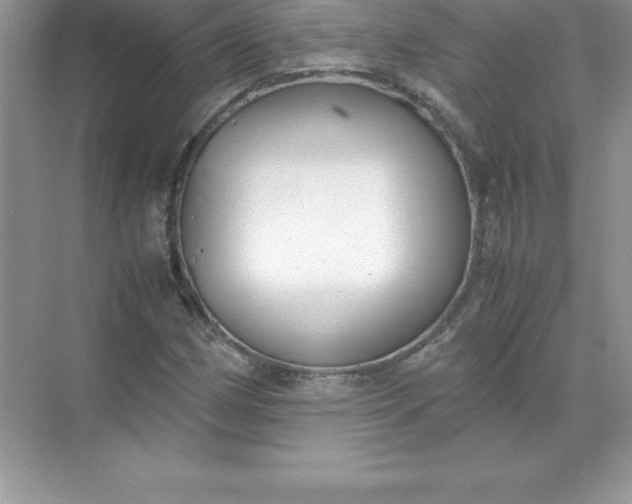 X0000071951162200607212219