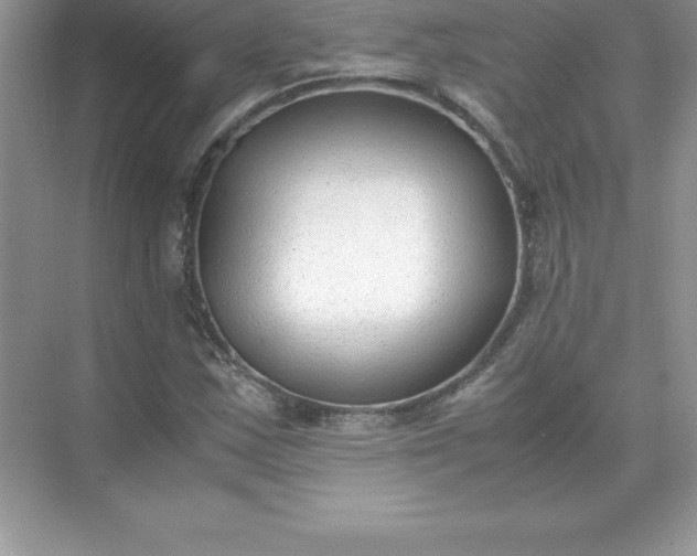 X0000071951163200607212219