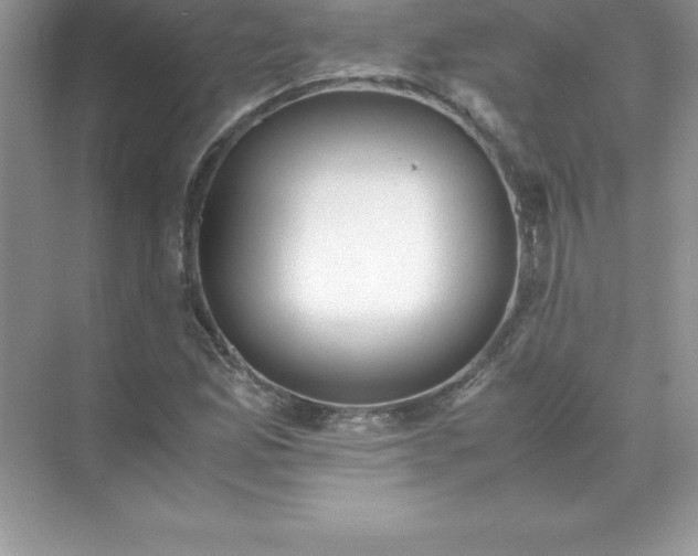 X0000071951165200607212219