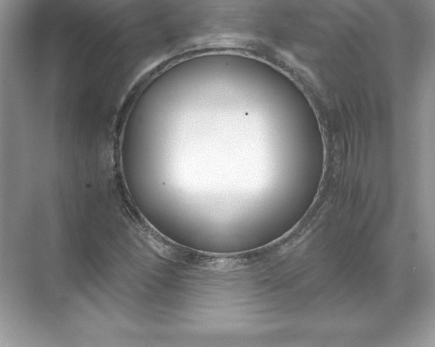 X0000071951166200607212219