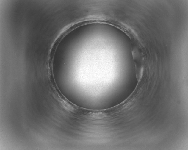 X0000071951168200607212219