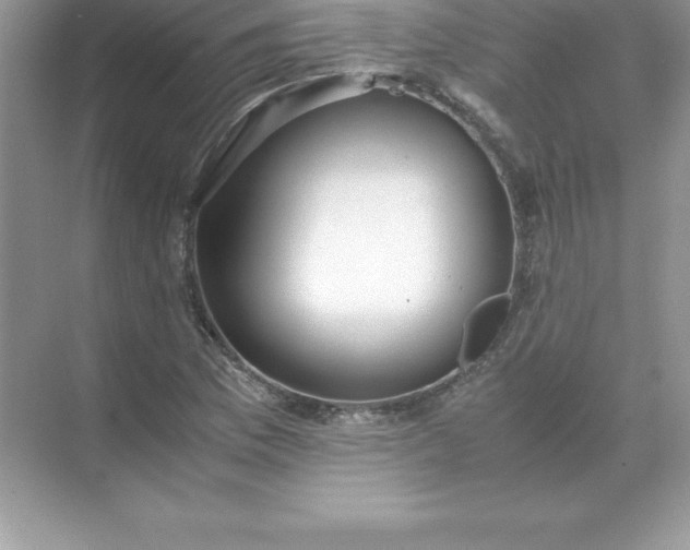 X0000071951169200607212219