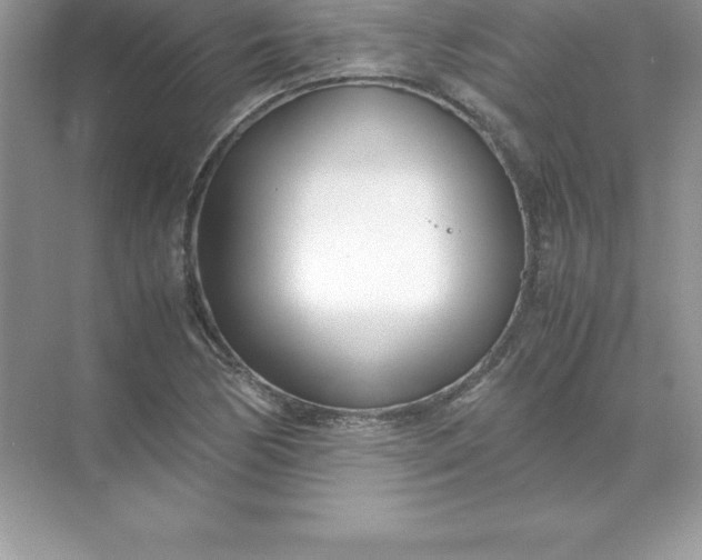 X0000071951170200607212219