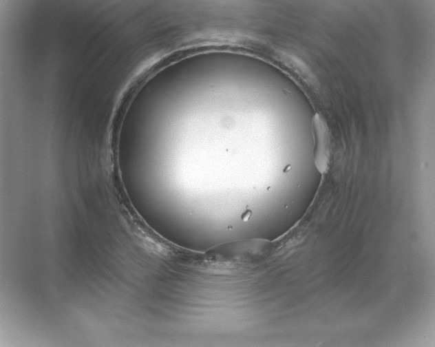 X0000071951172200607212219