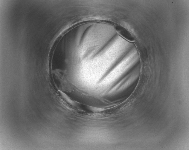 X0000071951173200607212219