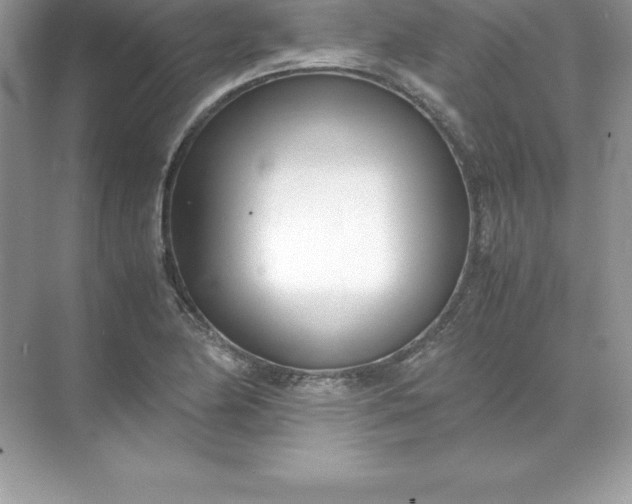 X0000071951174200607212219