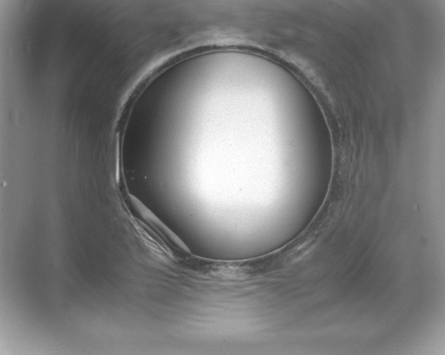 X0000071951175200607212219