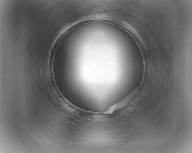 X0000071951176200607212219