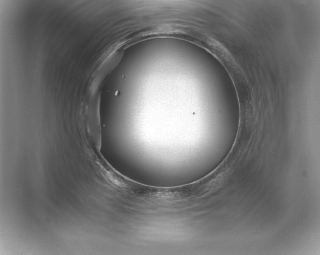 X0000071951177200607212219