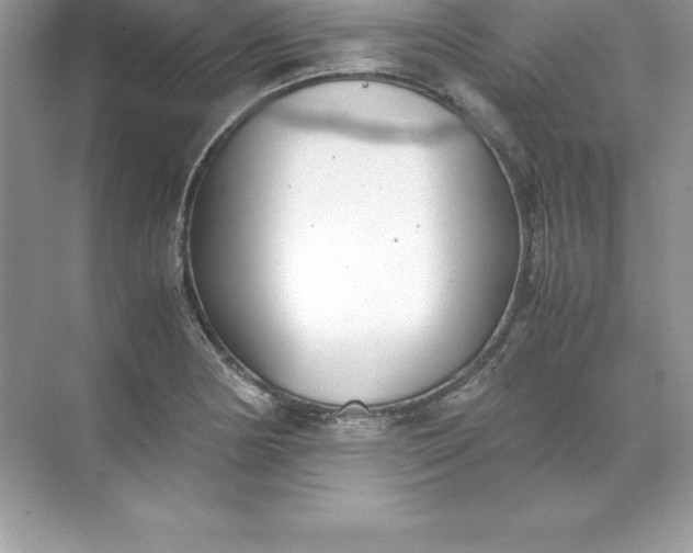 X0000071951178200607212219