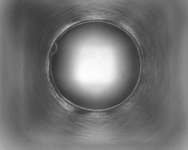 X0000071951179200607212219