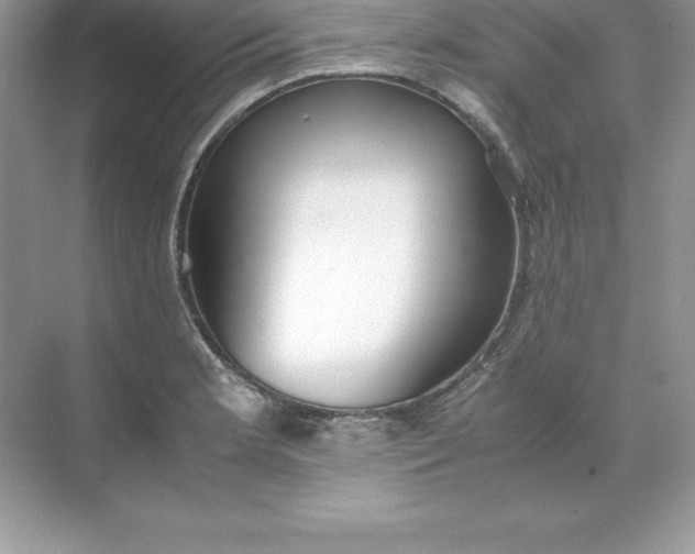 X0000071951181200607212218