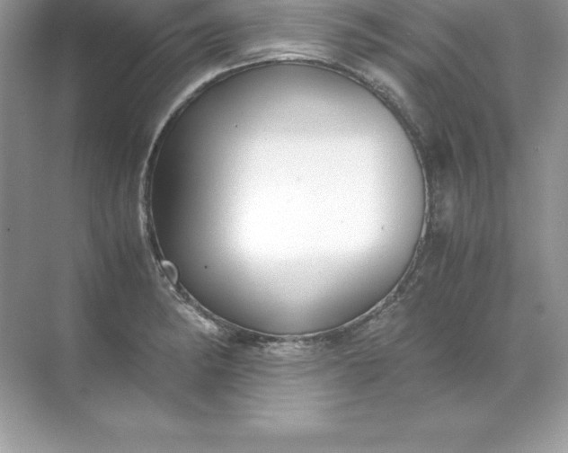 X0000071951182200607212218