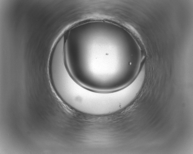 X0000071951183200607212218