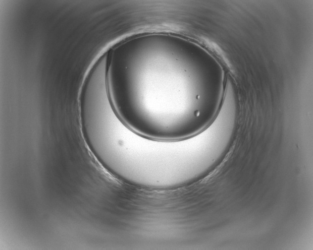 X0000071951184200607212218