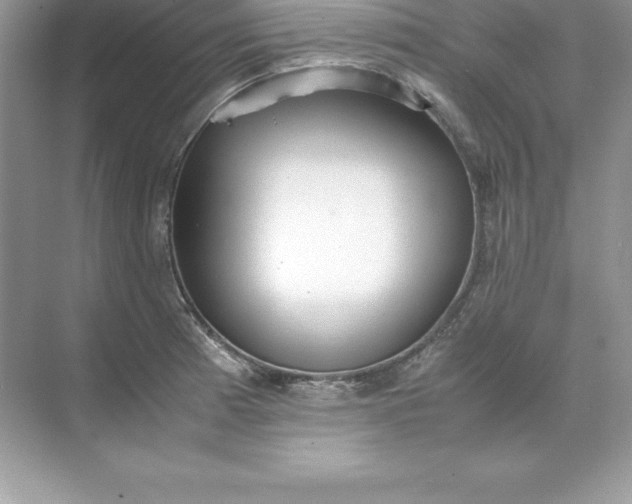 X0000071951185200607212218