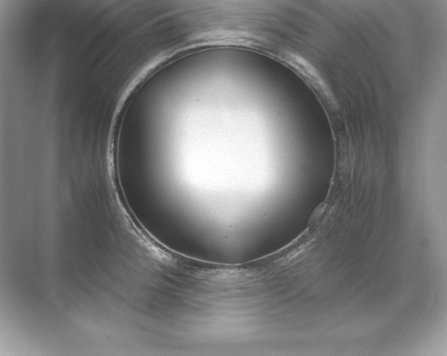 X0000071951188200607212218