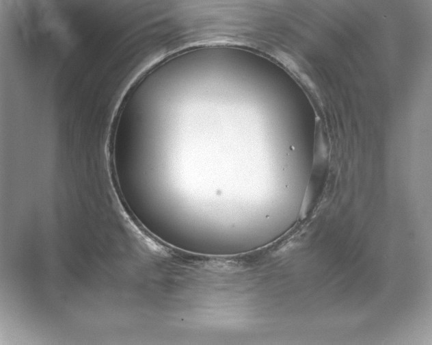 X0000071951189200607212218