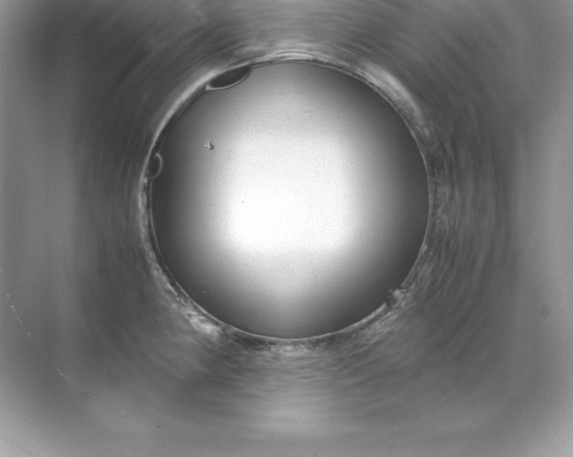 X0000071951190200607212218