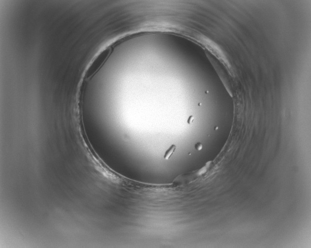 X0000071951192200607212218