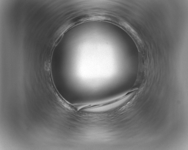 X0000071951193200607212218