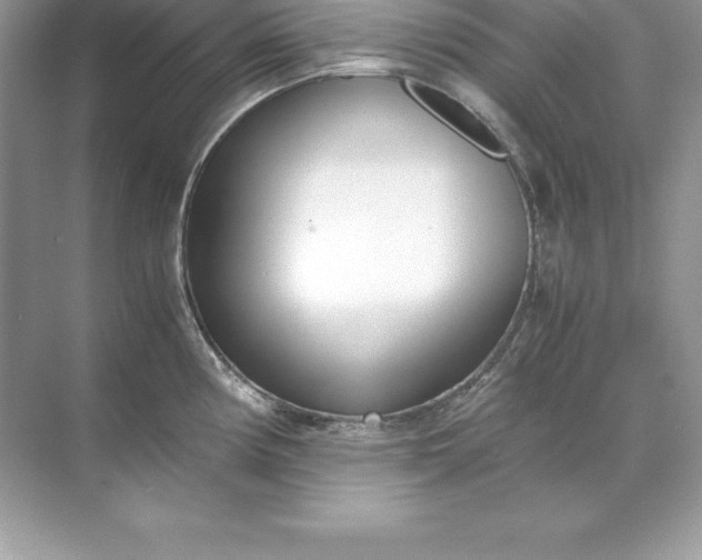 X0000071951194200607212218