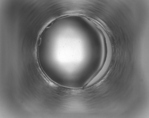 X0000071951196200607212218